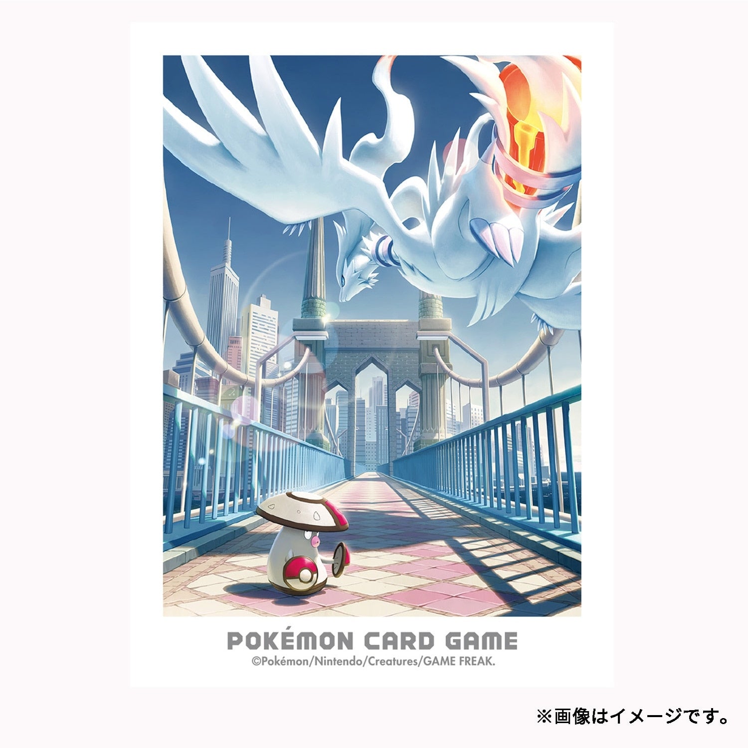 Reshiram & Morobo 1